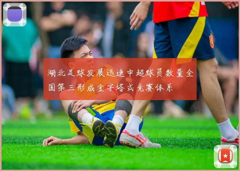 湖北足球发展迅速中超球员数量全国第三形成金字塔式竞赛体系
