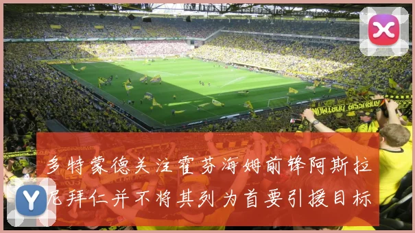 多特蒙德关注霍芬海姆前锋阿斯拉尼拜仁并不将其列为首要引援目标