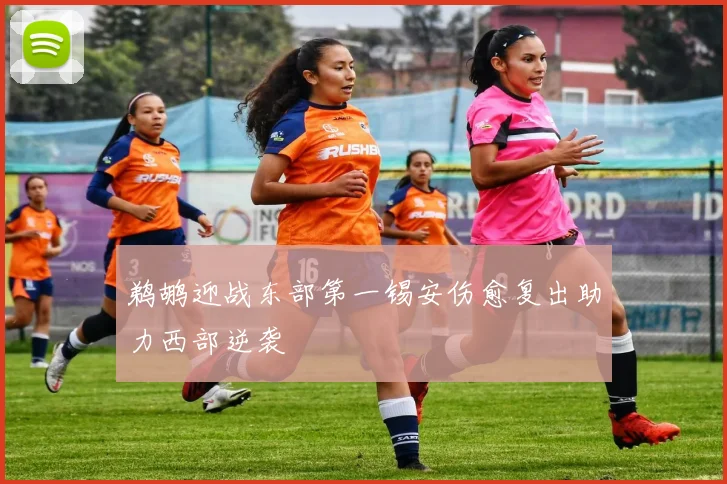 鹈鹕迎战东部第一锡安伤愈复出助力西部逆袭