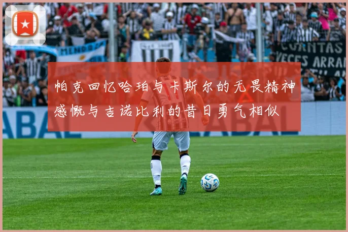 帕克回忆哈珀与卡斯尔的无畏精神感慨与吉诺比利的昔日勇气相似