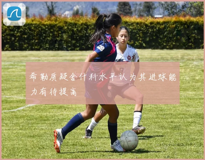 希勒质疑舍什科水平认为其进球能力有待提高
