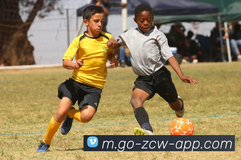 足彩网平台生态图