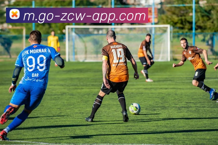 足彩网APP 封面图